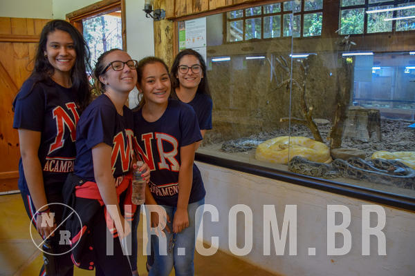 Buy your photos of the eventNR Sun - 05 A 09/09/18 on Fotop