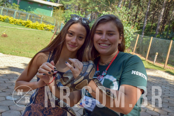 Buy your photos of the eventNR Sun - 05 A 09/09/18 on Fotop