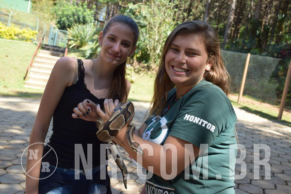 Buy your photos of the eventNR Sun - 05 A 09/09/18 on Fotop