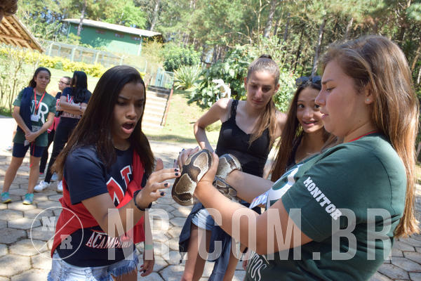 Buy your photos of the eventNR Sun - 05 A 09/09/18 on Fotop