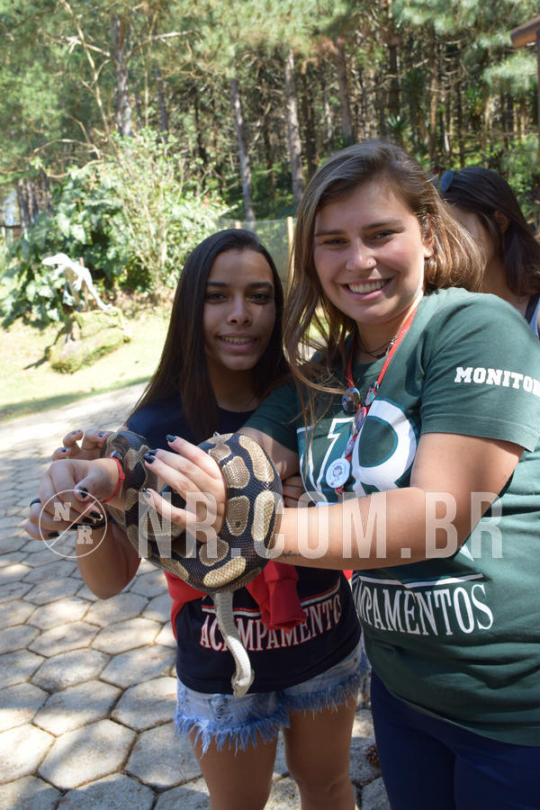 Buy your photos of the eventNR Sun - 05 A 09/09/18 on Fotop