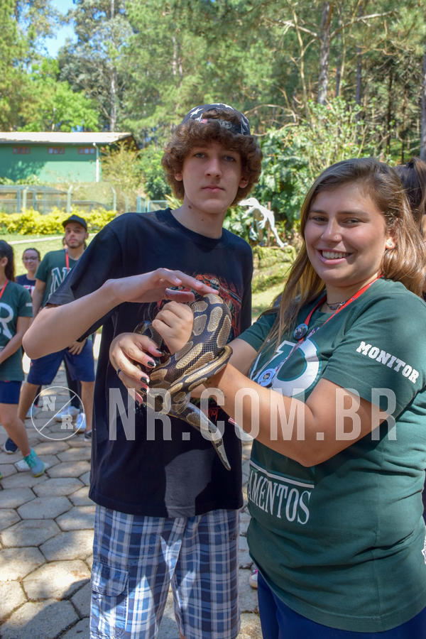 Buy your photos of the eventNR Sun - 05 A 09/09/18 on Fotop