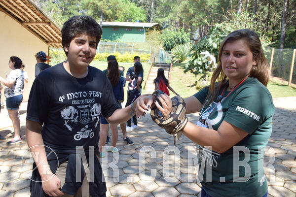 Buy your photos of the eventNR Sun - 05 A 09/09/18 on Fotop