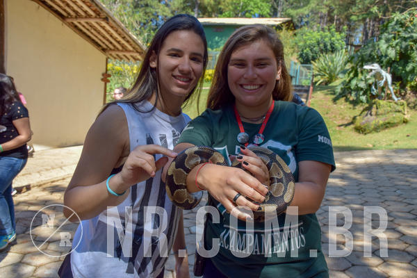 Buy your photos of the eventNR Sun - 05 A 09/09/18 on Fotop