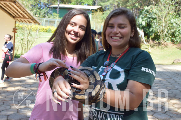 Buy your photos of the eventNR Sun - 05 A 09/09/18 on Fotop