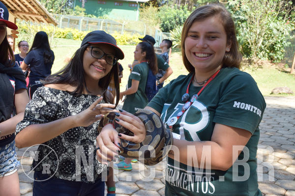 Buy your photos of the eventNR Sun - 05 A 09/09/18 on Fotop