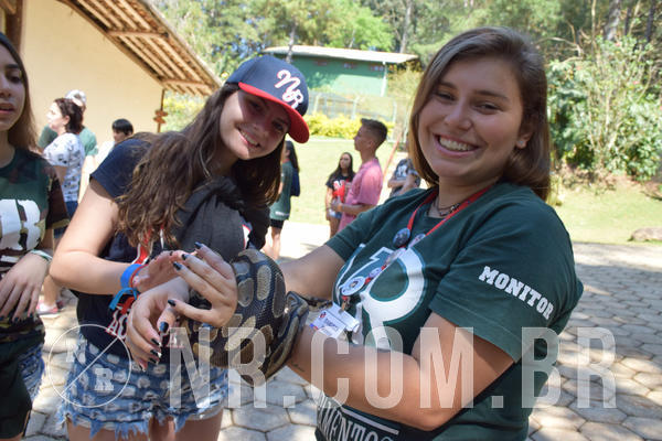 Buy your photos of the eventNR Sun - 05 A 09/09/18 on Fotop