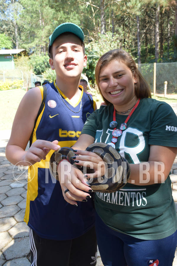 Buy your photos of the eventNR Sun - 05 A 09/09/18 on Fotop