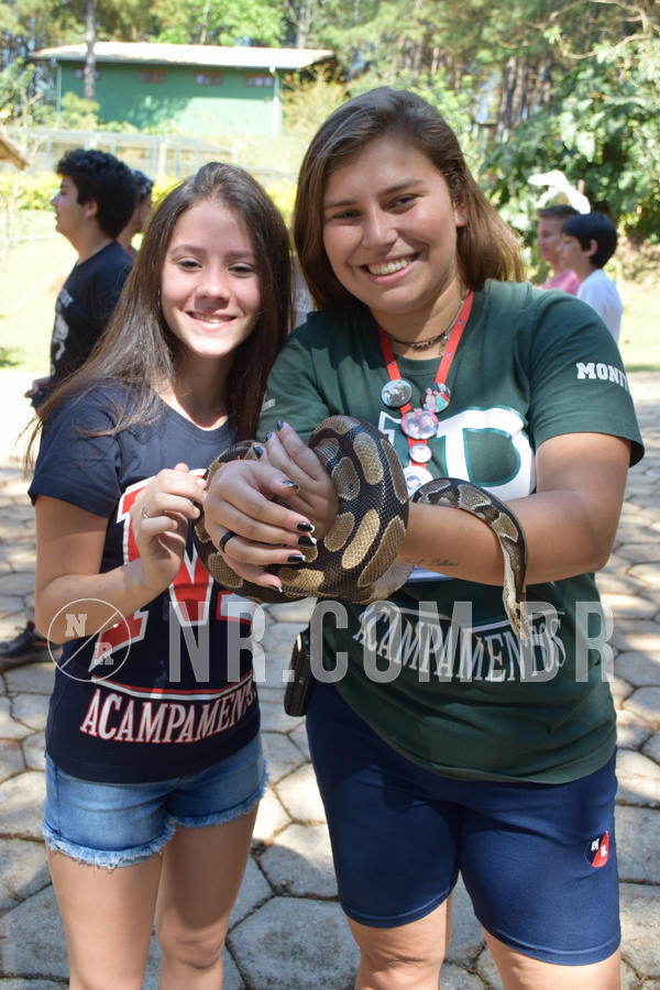 Buy your photos of the eventNR Sun - 05 A 09/09/18 on Fotop