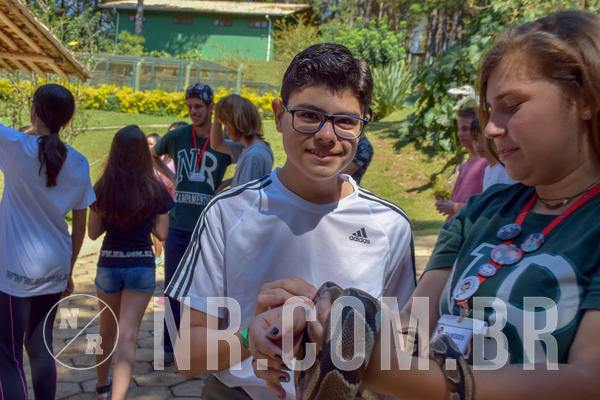 Buy your photos of the eventNR Sun - 05 A 09/09/18 on Fotop