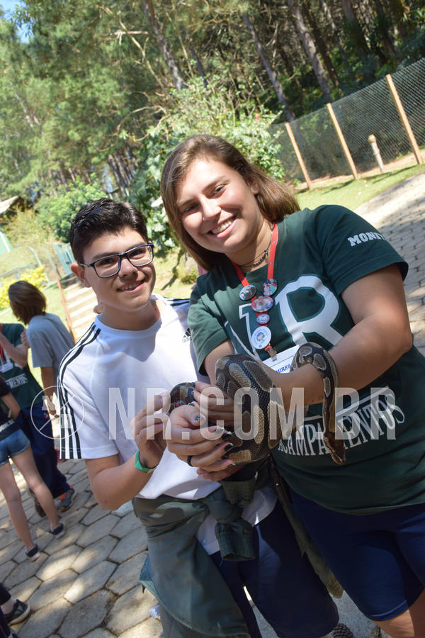 Buy your photos of the eventNR Sun - 05 A 09/09/18 on Fotop