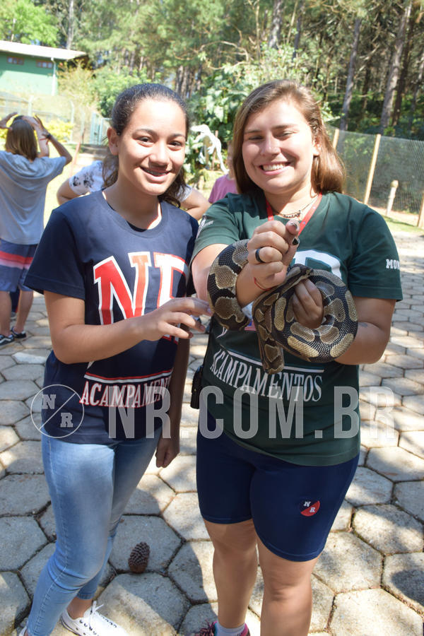 Buy your photos of the eventNR Sun - 05 A 09/09/18 on Fotop