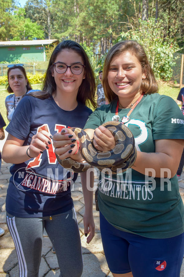 Buy your photos of the eventNR Sun - 05 A 09/09/18 on Fotop