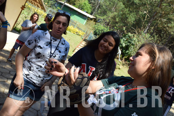 Buy your photos of the eventNR Sun - 05 A 09/09/18 on Fotop