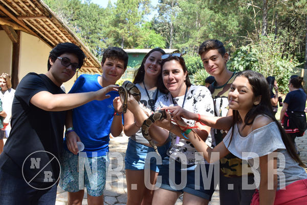 Buy your photos of the eventNR Sun - 05 A 09/09/18 on Fotop