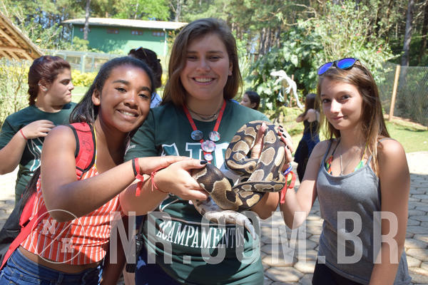 Buy your photos of the eventNR Sun - 05 A 09/09/18 on Fotop