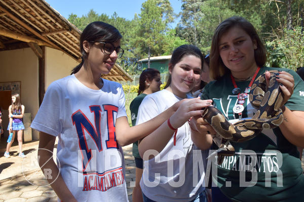 Buy your photos of the eventNR Sun - 05 A 09/09/18 on Fotop