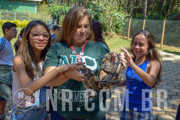 Buy your photos of the eventNR Sun - 05 A 09/09/18 on Fotop