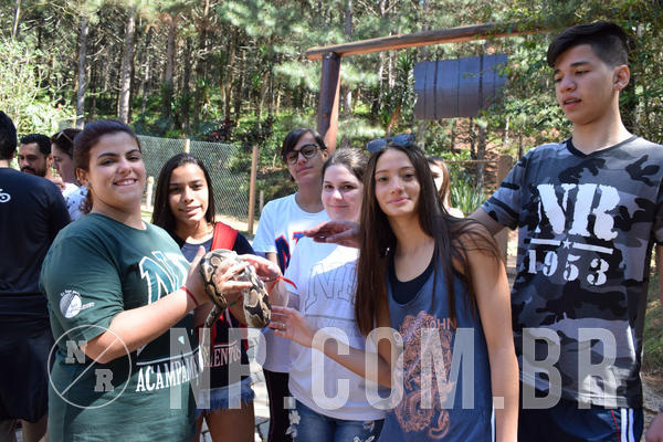 Buy your photos of the eventNR Sun - 05 A 09/09/18 on Fotop