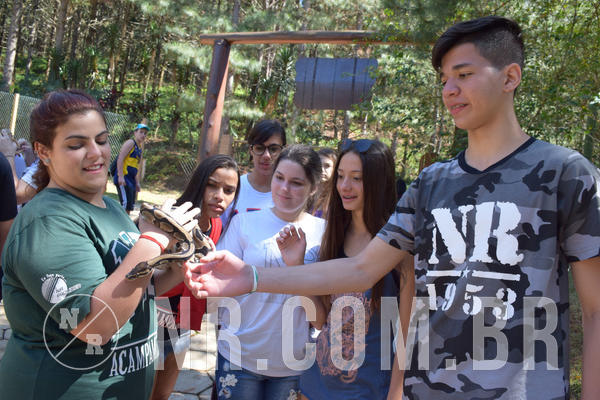 Buy your photos of the eventNR Sun - 05 A 09/09/18 on Fotop