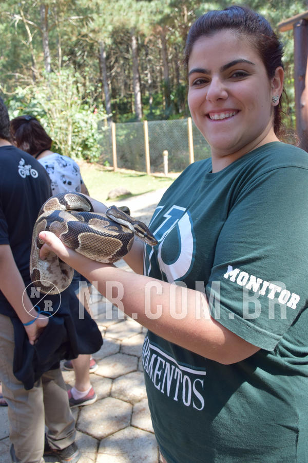 Buy your photos of the eventNR Sun - 05 A 09/09/18 on Fotop