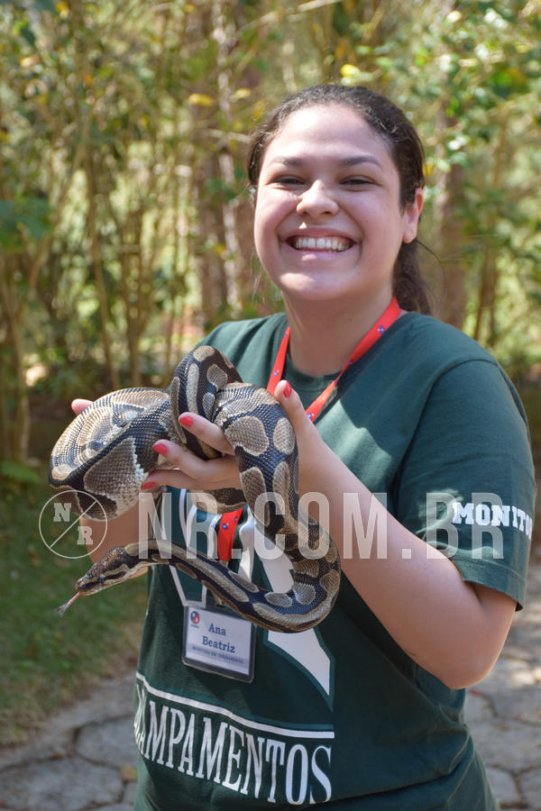 Buy your photos of the eventNR Sun - 05 A 09/09/18 on Fotop