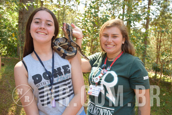 Buy your photos of the eventNR Sun - 05 A 09/09/18 on Fotop