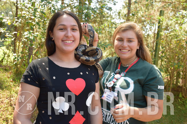 Buy your photos of the eventNR Sun - 05 A 09/09/18 on Fotop