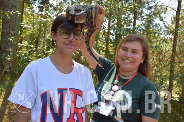 Buy your photos of the eventNR Sun - 05 A 09/09/18 on Fotop