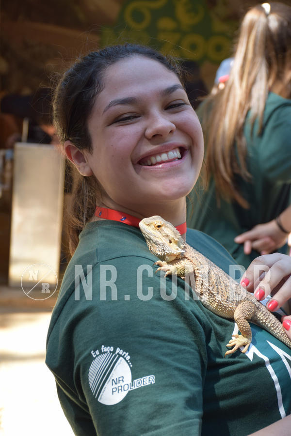 Buy your photos of the eventNR Sun - 05 A 09/09/18 on Fotop