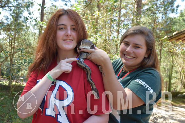 Buy your photos of the eventNR Sun - 05 A 09/09/18 on Fotop