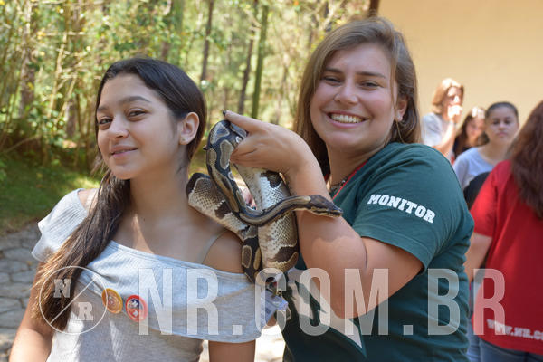 Buy your photos of the eventNR Sun - 05 A 09/09/18 on Fotop