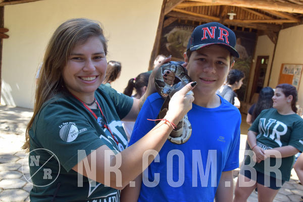 Buy your photos of the eventNR Sun - 05 A 09/09/18 on Fotop