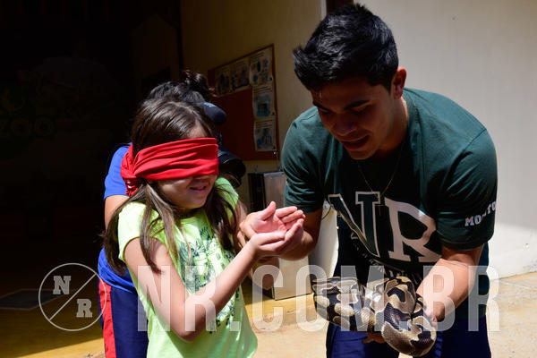 Buy your photos of the eventNR1 - Cl�ssico de 09 a 11/09/18 on Fotop