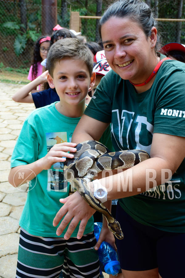 Buy your photos of the eventNR1 - Cl�ssico de 09 a 11/09/18 on Fotop