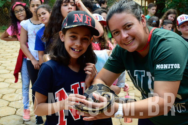 Buy your photos of the eventNR1 - Cl�ssico de 09 a 11/09/18 on Fotop