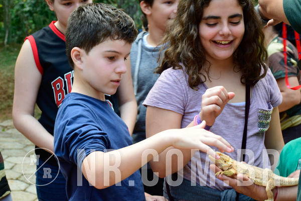 Buy your photos of the eventNR1 - Cl�ssico de 09 a 11/09/18 on Fotop