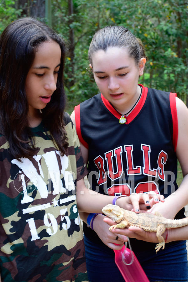 Buy your photos of the eventNR1 - Cl�ssico de 09 a 11/09/18 on Fotop