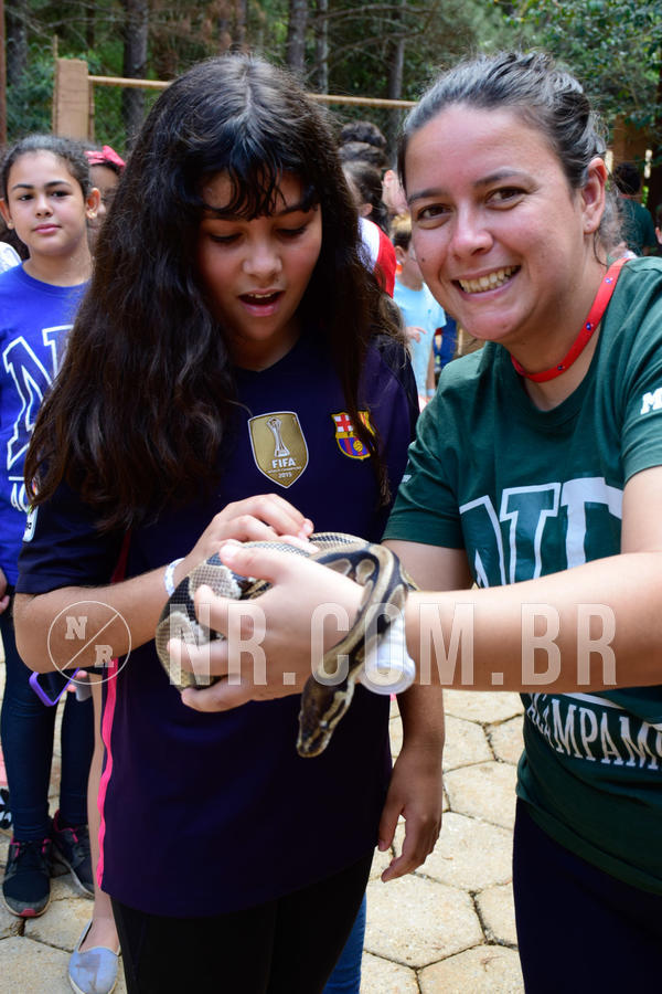Buy your photos of the eventNR1 - Cl�ssico de 09 a 11/09/18 on Fotop