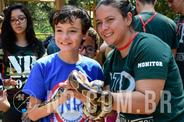 Buy your photos of the eventNR1 - Cl�ssico de 09 a 11/09/18 on Fotop