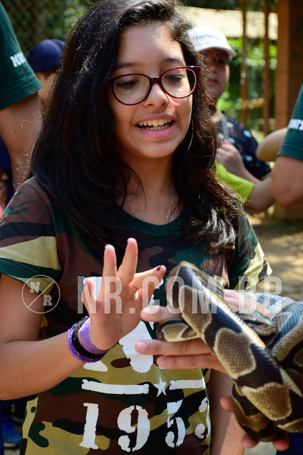 Buy your photos of the eventNR1 - Cl�ssico de 09 a 11/09/18 on Fotop