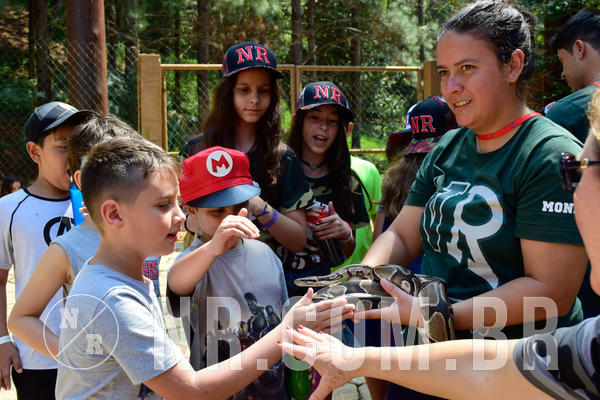 Buy your photos of the eventNR1 - Cl�ssico de 09 a 11/09/18 on Fotop