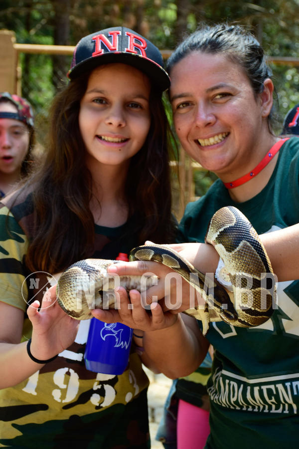 Buy your photos of the eventNR1 - Cl�ssico de 09 a 11/09/18 on Fotop