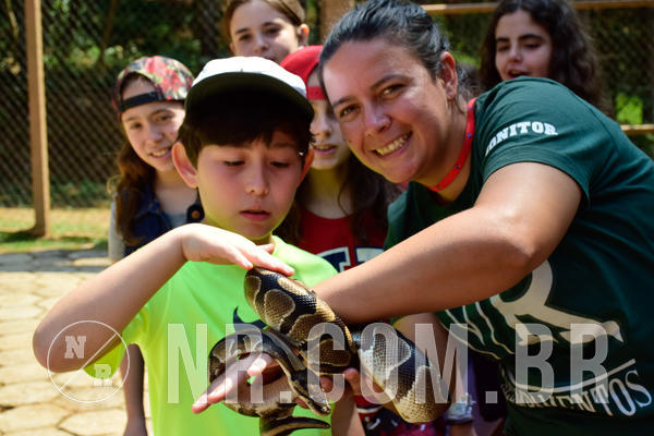 Buy your photos of the eventNR1 - Cl�ssico de 09 a 11/09/18 on Fotop