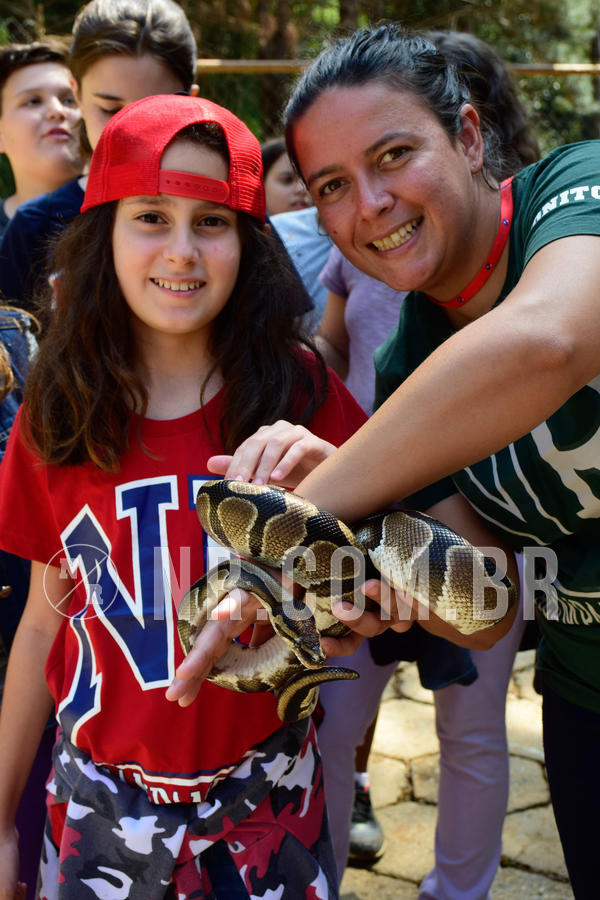 Buy your photos of the eventNR1 - Cl�ssico de 09 a 11/09/18 on Fotop