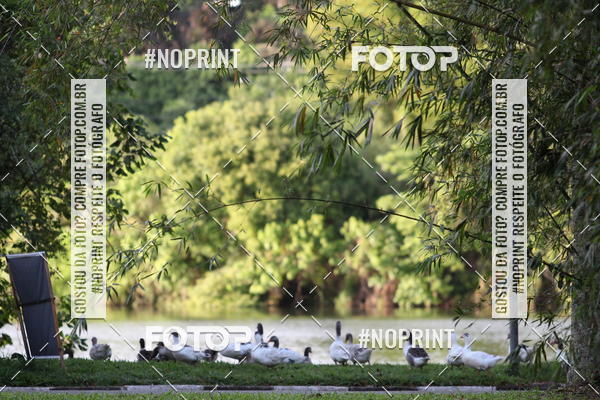 Buy your photos of the eventSantander Track & Field Run Series - Plaza Sul - Jardim Bot�nico on Fotop