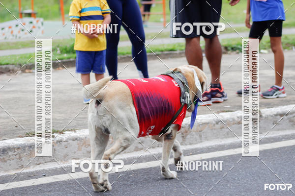 Buy your photos of the event1 Corrida e Caminhada da Santa Casa BH na Luta Contra o Cncer on Fotop