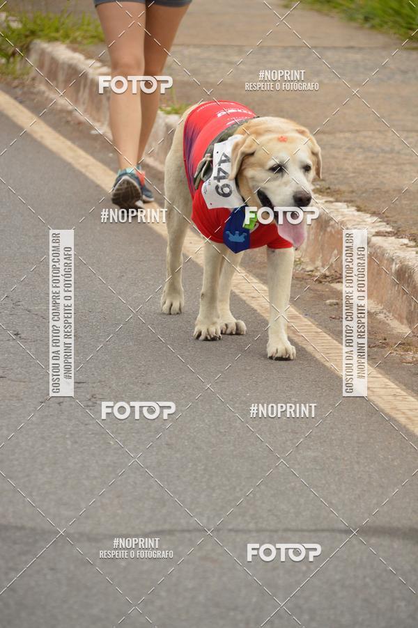 Buy your photos of the event1 Corrida e Caminhada da Santa Casa BH na Luta Contra o Cncer on Fotop