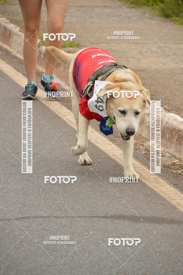Buy your photos of the event1 Corrida e Caminhada da Santa Casa BH na Luta Contra o Cncer on Fotop