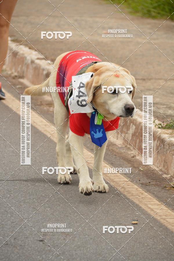 Buy your photos of the event1 Corrida e Caminhada da Santa Casa BH na Luta Contra o Cncer on Fotop